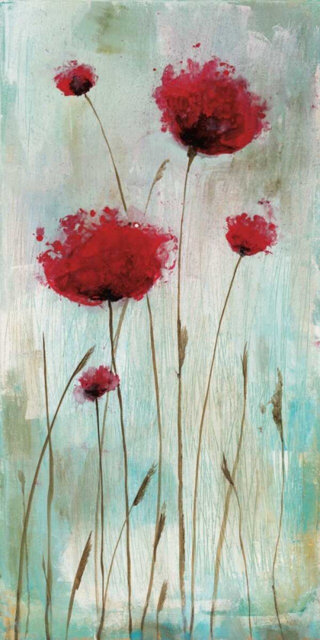 Splash Poppies I Poster Print by Catherine Brink - Item # VARPDX16212